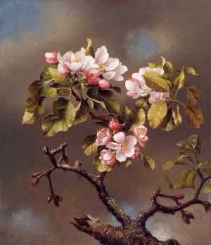 Branch of Apple Blossoms Against a Cloudy Sky by Martin Johnson Heade - Oil Painting Reproduction