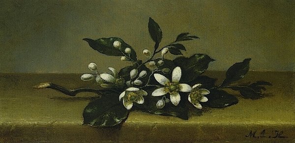 Branch of Orange Blossoms by Martin Johnson Heade - Hand-Painted Oil Painting Reproduction