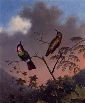 Brazilian Ruby Hummingbirds by Martin Johnson Heade - Oil Painting Reproduction