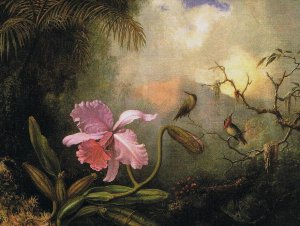 Carrleya Orchid with Two Hummingbirds