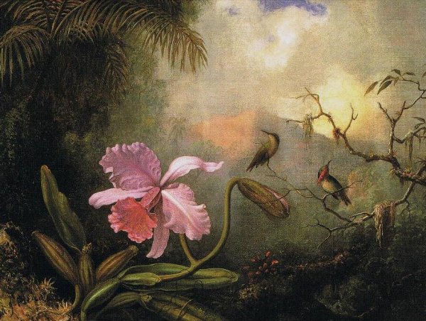 Main Product Photo of Carrleya Orchid with Two Hummingbirds Painting by Martin Johnson Heade