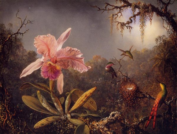 Main Product Photo of Cattleya Orchid and Three Brazilian Hummingbirds Painting by Martin Johnson Heade