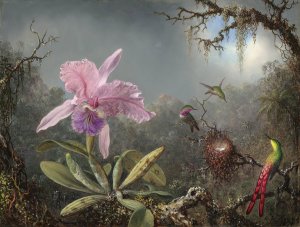 Cattleya Orchid and Three Hummingbirds by Martin Johnson Heade Oil Painting
