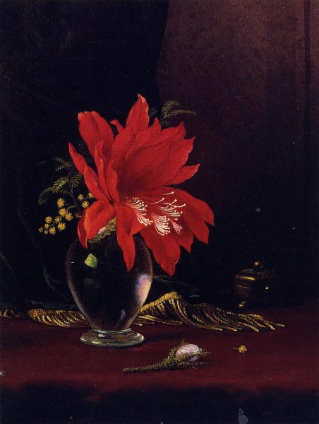 Chateau of Flower by Martin Johnson Heade - Hand-Painted Oil Painting Reproduction