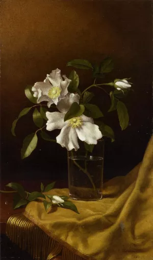 Cherokee Roses in a Glass on Gold Velvet Plush painting by Martin Johnson Heade