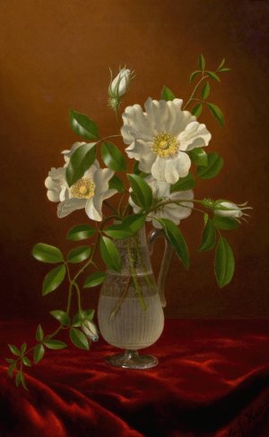 Cherokee Roses in a Glass Vase by Martin Johnson Heade Oil Painting