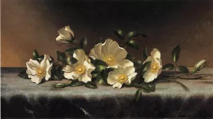 Cherokee Roses on a Light Gray Cloth by Martin Johnson Heade - Oil Painting Reproduction