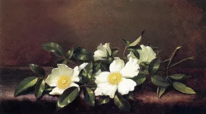 Cherokee Roses on a Purple Velvet Cloth by Martin Johnson Heade - Oil Painting Reproduction