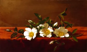 Cherokee Roses by Martin Johnson Heade - Oil Painting Reproduction
