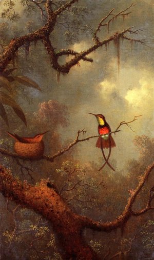 Cromson Topaz Hummingbirds Nesting in a Tropical Forest by Martin Johnson Heade Oil Painting