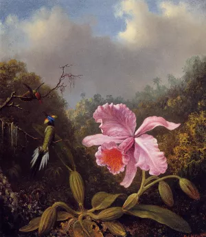 Fighting Hummingbirds with Pink Orchid painting by Martin Johnson Heade