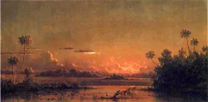 Florida Sunset with Waterfowl by Martin Johnson Heade - Oil Painting Reproduction