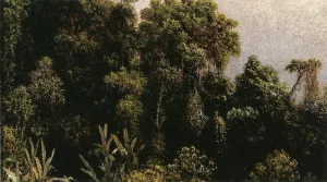 Forest Study, Brazil by Martin Johnson Heade Oil Painting