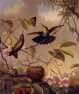 Fort-Tailed Woodnymph painting by Martin Johnson Heade