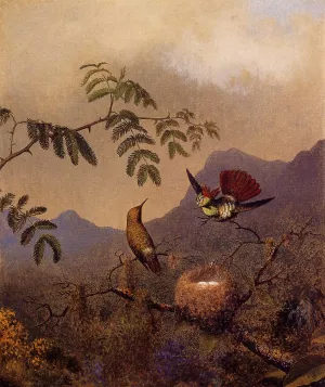 Frilled Coquette painting by Martin Johnson Heade