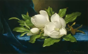 Giant Magnolias on a Blue Velvet Cloth by Martin Johnson Heade Oil Painting