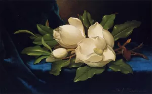 Giant Magnolias on a Blue Velvet Cloth painting by Martin Johnson Heade