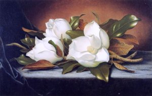 Giant Magnolias Oil painting by Martin Johnson Heade