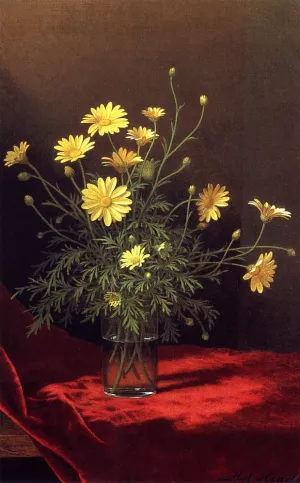 Golden Marguerites by Martin Johnson Heade - Oil Painting Reproduction