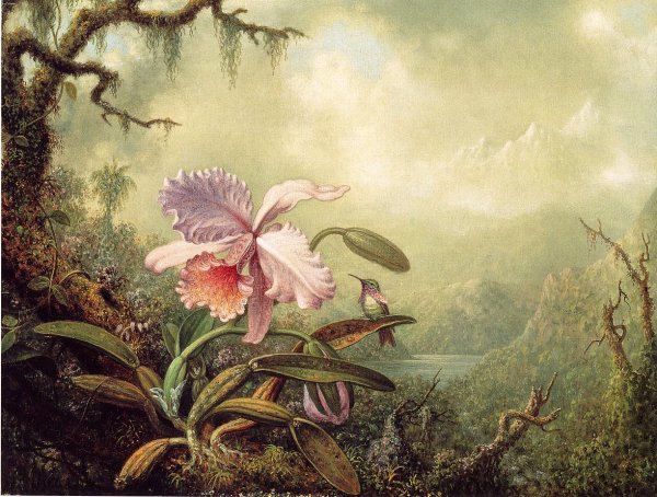 Main Product Photo of Heliodore's Woodstar and a Pink Orchid Painting by Martin Johnson Heade