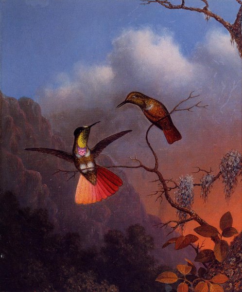 Hooded Visorbearer by Martin Johnson Heade - Hand-Painted Oil Painting Reproduction
