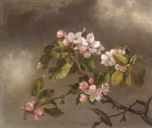 Hummingbird and Apple Blossoms by Martin Johnson Heade Oil Painting
