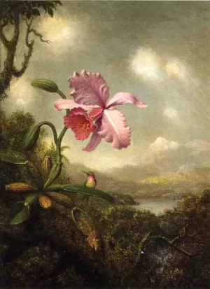 Hummingbird and Orchid: Sun Breaking Through the Clouds painting by Martin Johnson Heade