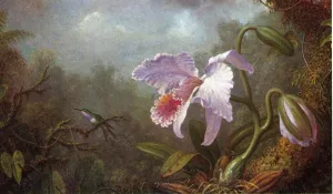 Hummingbird and Orchid by Martin Johnson Heade - Oil Painting Reproduction