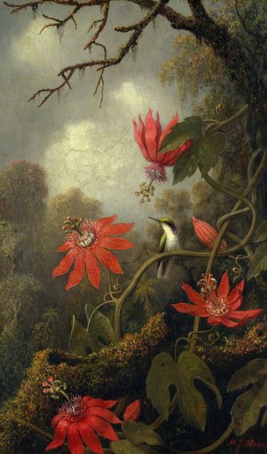 Hummingbird and Passionflowers by Martin Johnson Heade Oil Painting