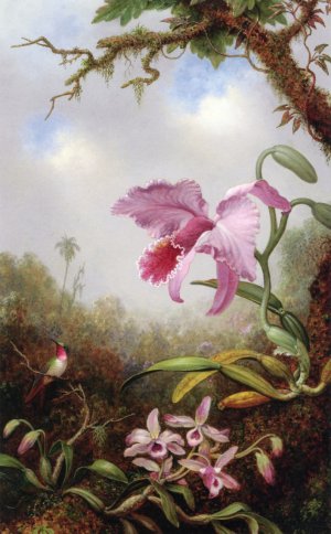 Hummingbird and Two Types of Orchids
