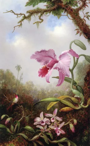 Hummingbird and Two Types of Orchids by Martin Johnson Heade Oil Painting