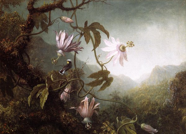 Hummingbird Perched near Passion Flowers by Martin Johnson Heade - Hand-Painted Oil Painting Reproduction