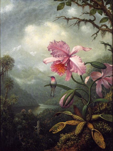 Main Product Photo of Hummingbird Perched on an Orchid Plant Painting by Martin Johnson Heade