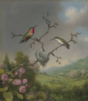 Hummingbirds and Apple Blossoms by Martin Johnson Heade Oil Painting