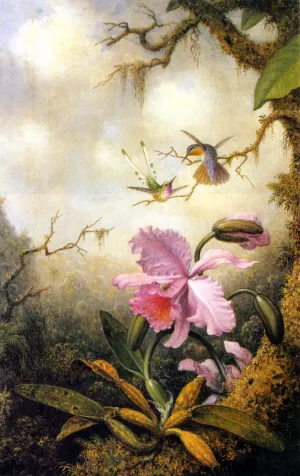 Hummingbirds and Orchids by Martin Johnson Heade Oil Painting