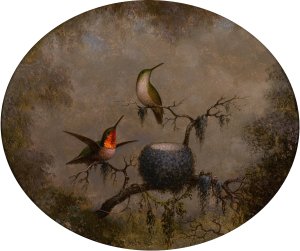 Hummingbirds and Their Nest by Martin Johnson Heade Oil Painting