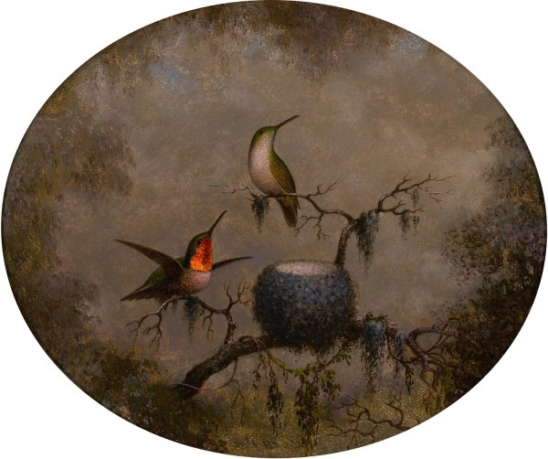 Hummingbirds and Their Nest  by Martin Johnson Heade - Hand-Painted Oil Painting Reproduction