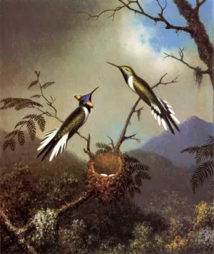 Hummingbirds at Their Nest - Sun Gems painting by Martin Johnson Heade
