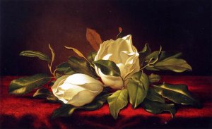 Magnoliae Grandeflorae Oil painting by Martin Johnson Heade