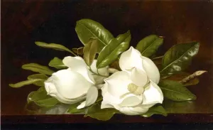 Magnolias on a Wooden Table painting by Martin Johnson Heade