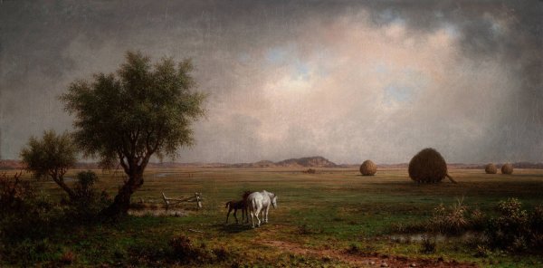 Mare and Colt in a Marsh  by Martin Johnson Heade - Hand-Painted Oil Painting Reproduction