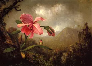Orchid and Hummingbird near a Mountain Waterfall by Martin Johnson Heade - Oil Painting Reproduction