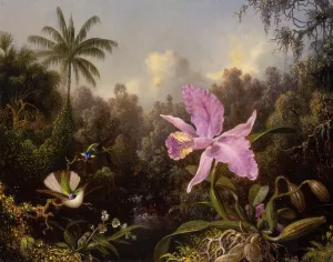 Orchid and Two Hummingbirds painting by Martin Johnson Heade