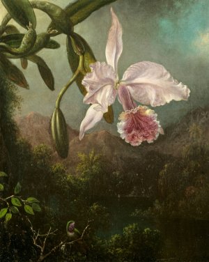 Orchid Blossoms by Martin Johnson Heade Oil Painting