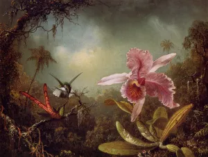 Orchid with Two Hummingbirds painting by Martin Johnson Heade
