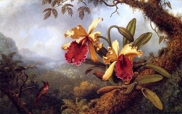 Main Product Photo of Orchids and Hummingbird Painting by Martin Johnson Heade