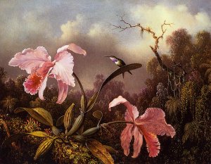 Orchids and Hummingbird