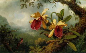 Orchids and Hummingbird painting by Martin Johnson Heade