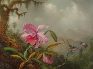 Orchids And Hummingbirds by Martin Johnson Heade Oil Painting