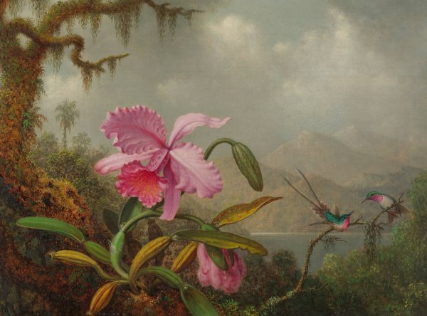 Orchids And Hummingbirds by Martin Johnson Heade - Hand-Painted Oil Painting Reproduction